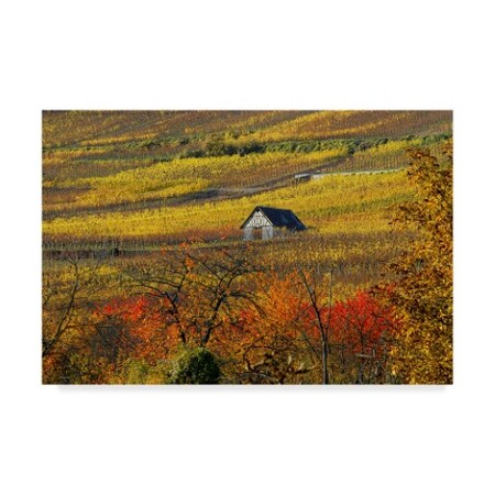 Philippe Sainte-Laudy 'The House Of Vines' Canvas Art,16x24